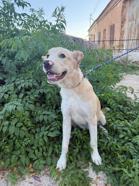 DUKE (Martina)