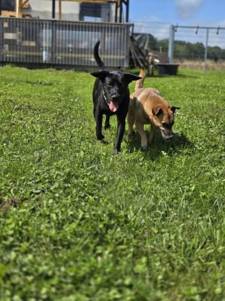 RONY besondere Adoption!