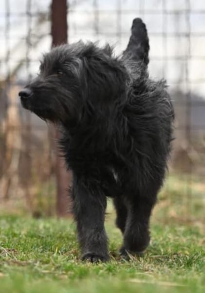 FREYA - in 46514 Schermbeck