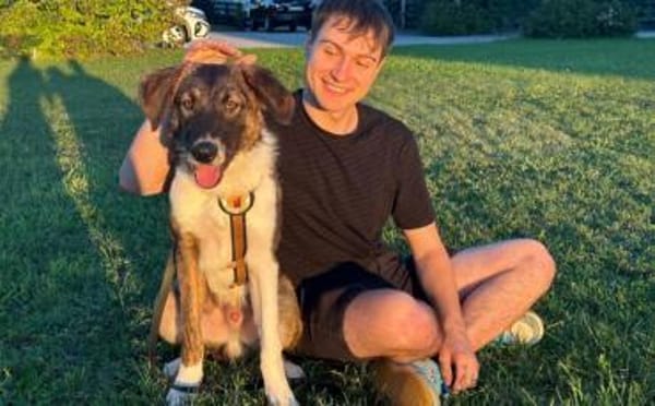 Zuhause für Louie gesucht