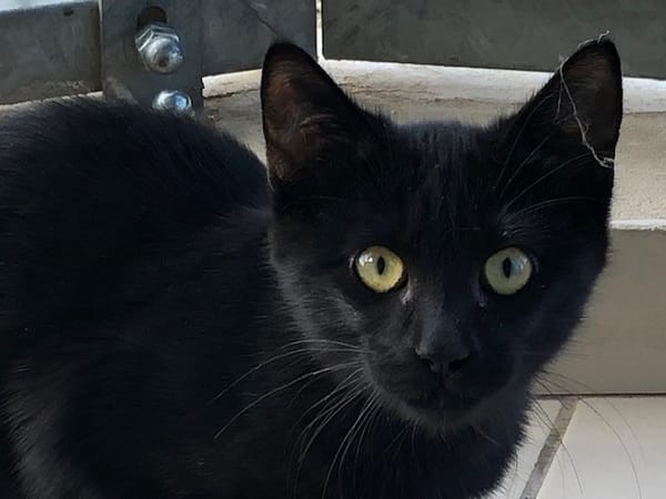 SALEM