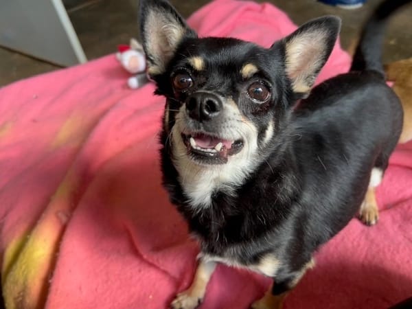 TITO