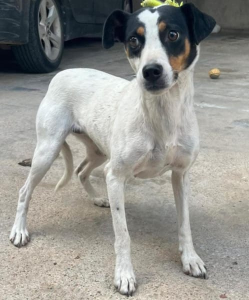 SALLY (Maria)