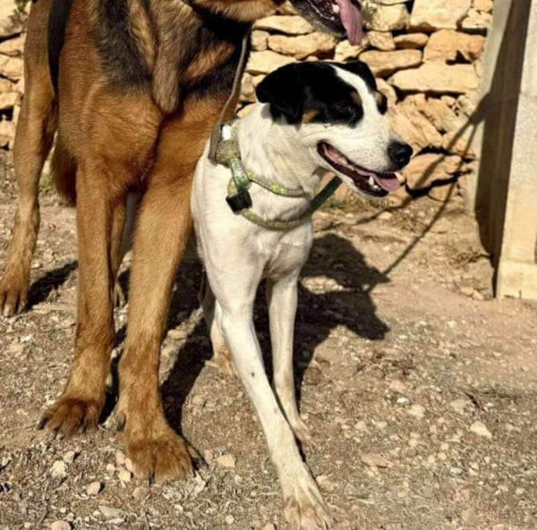 SALLY (Maria)