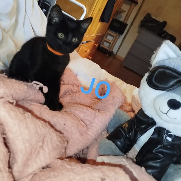 JO