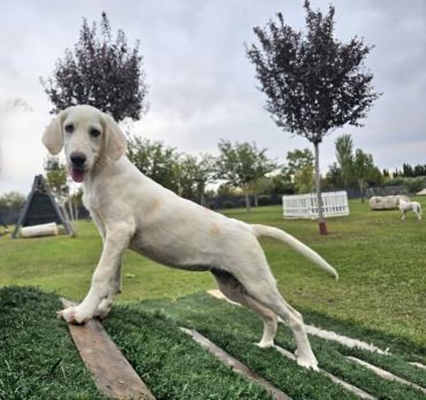 BLANKA ❤ liebevolles Mädchen, Kevelaer