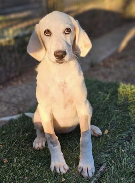 BLANKA ❤ liebevolles Mädchen, Kevelaer