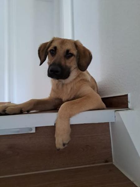 💙Titus💙sucht seine Familie