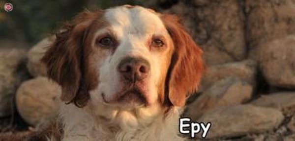 EPY