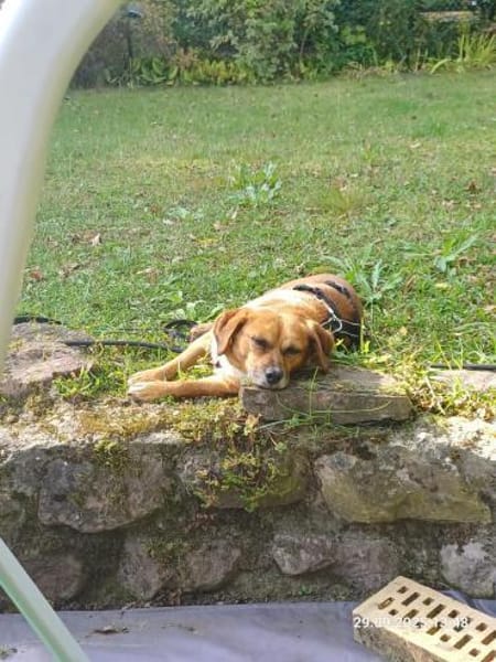 Ottosucht seine Menschen 🐾