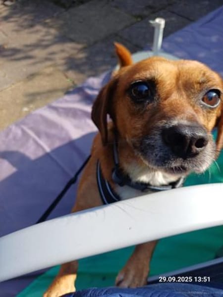 Ottosucht seine Menschen 🐾
