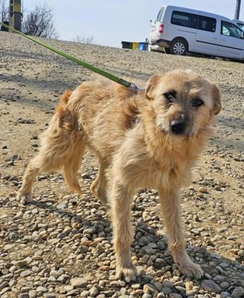Rita ist ein echter Goldschatz