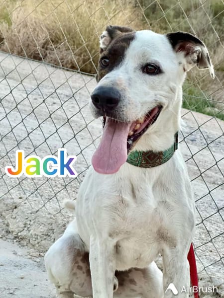 JACK