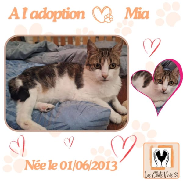 Mia