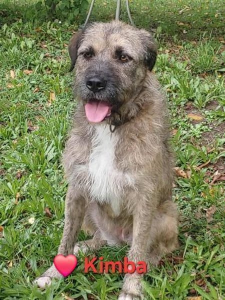 Kimba - großes Mädchen, großes Herz