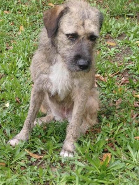 Kimba - großes Mädchen, großes Herz