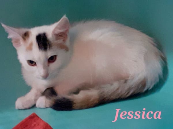Jessica