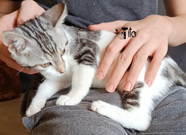 TITO