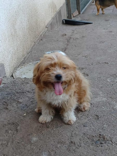 Billy