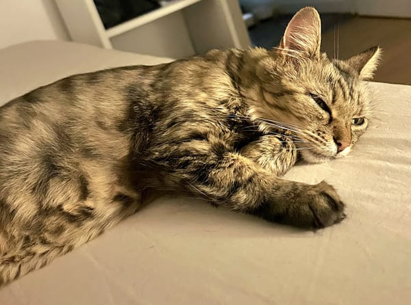 Axelle