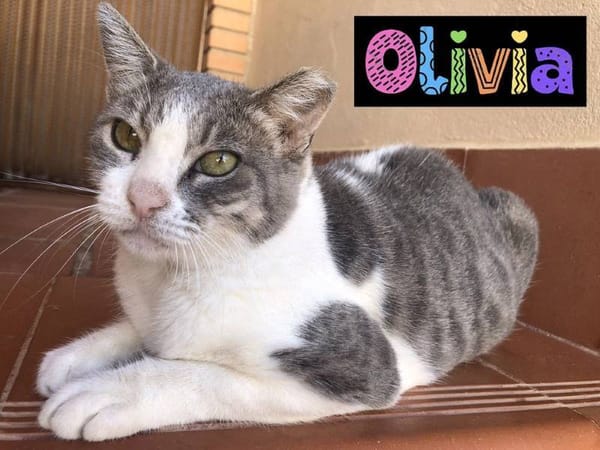Olivia