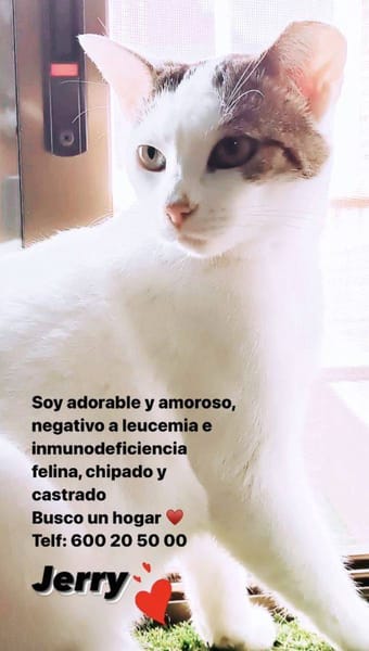 Jerry