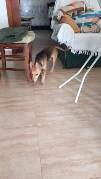 Aitor