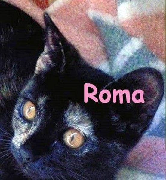 Roma