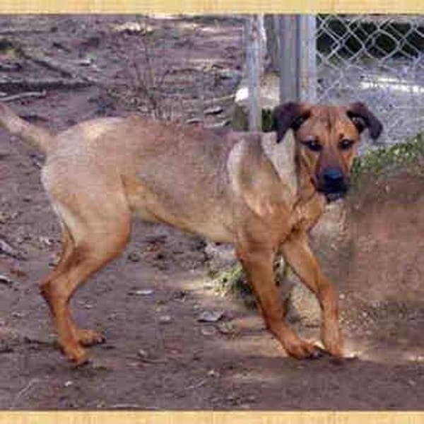 Berta
