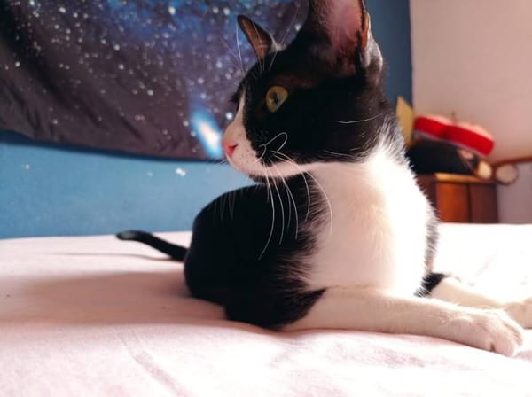 Lyra