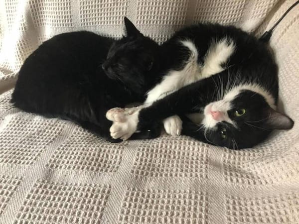 Cocó y marlene