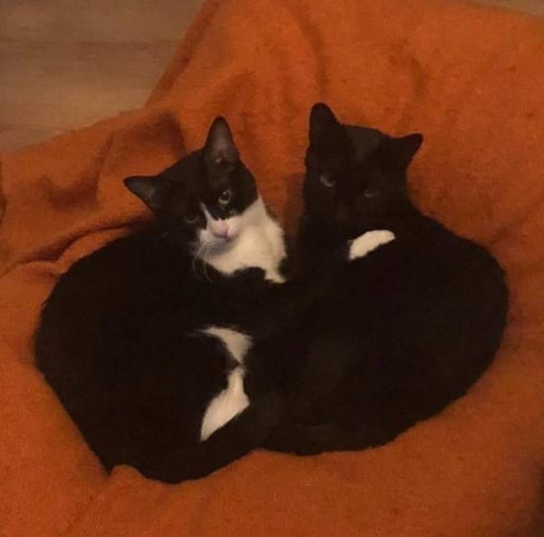 Cocó y marlene