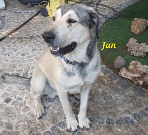 Jan