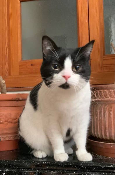 Gina