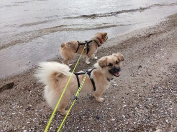 Alma 😍  Auf der Suche nach ihrer Für-I