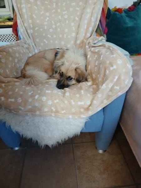 Alma 😍  Auf der Suche nach ihrer Für-I