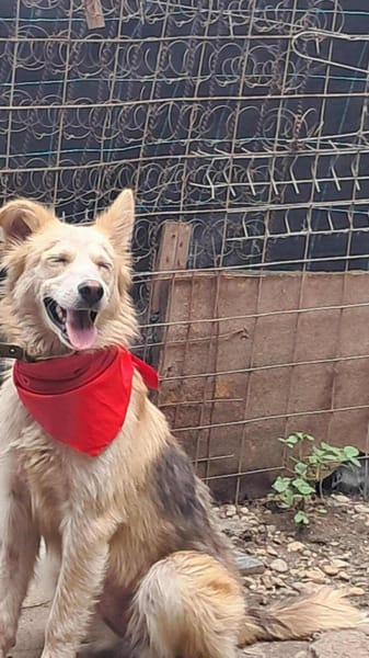 Ronja suche Menschen mit Herz