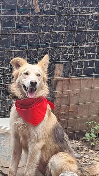 Ronja suche Menschen mit Herz