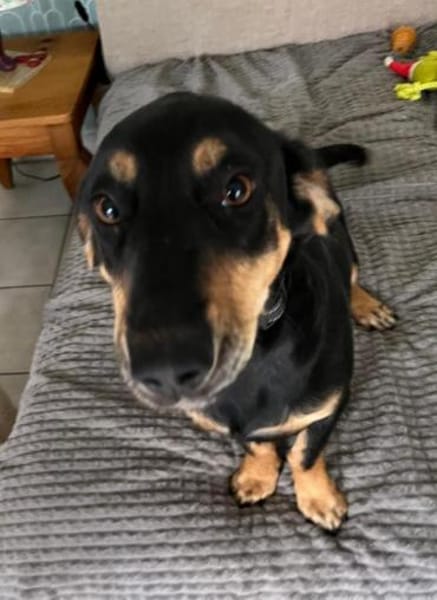 💕Berta💕sucht ihre Menschen 💕🐾