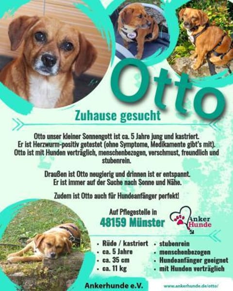 Ottosucht seine Menschen 🐾