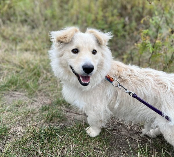 Max