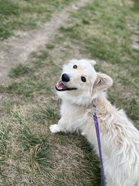 Max