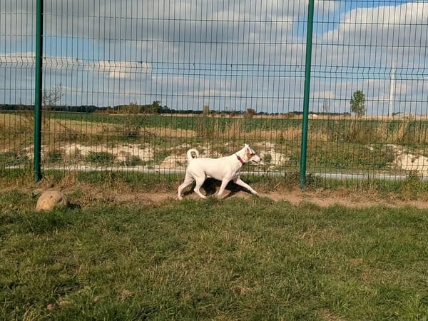 SKIPPY