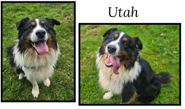 UTAH