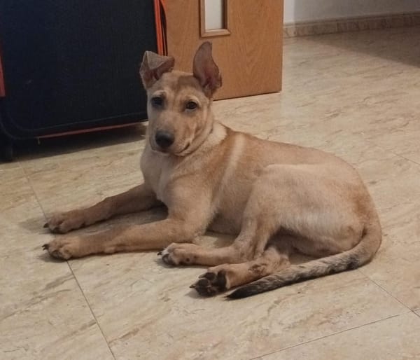 RIGO (Maria)