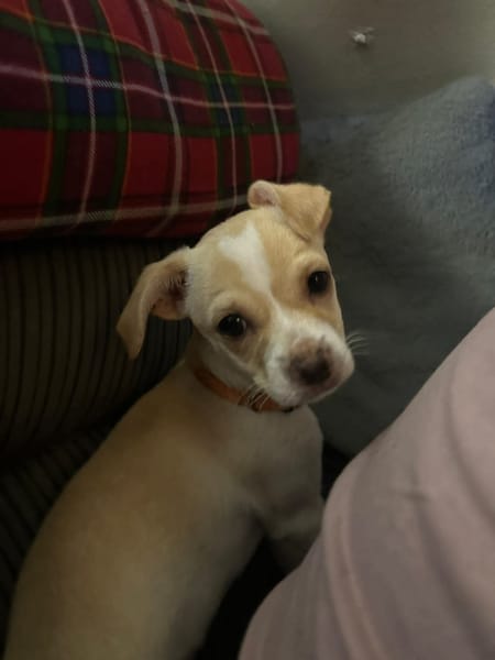 Ernie