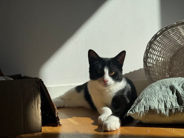 Ares