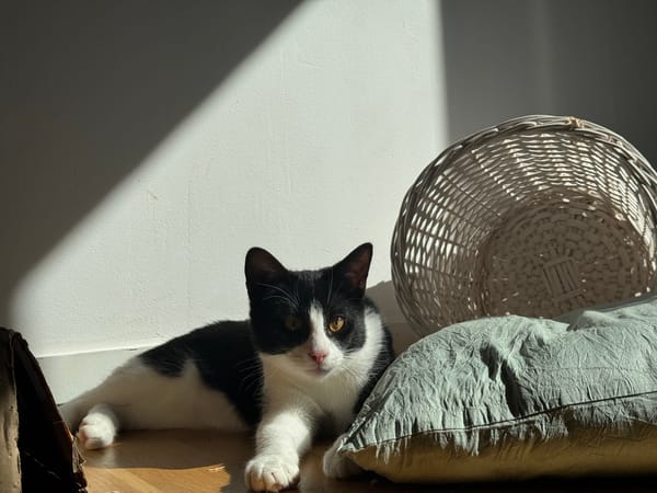 Ares