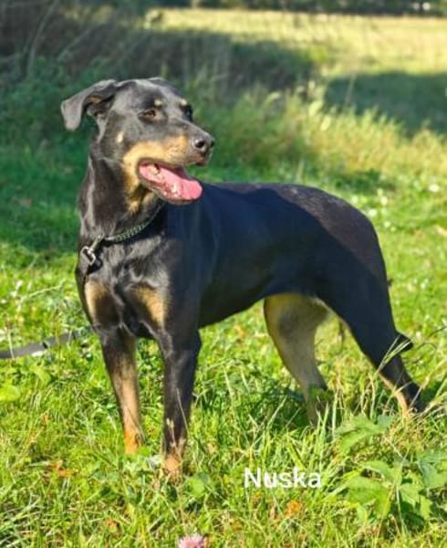 Nuska, unfassbar unkomplizierte Lady