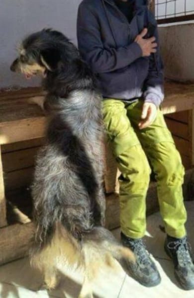 MAYA sucht Familie